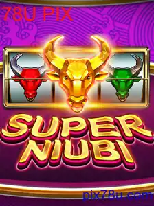 SuperNiubi